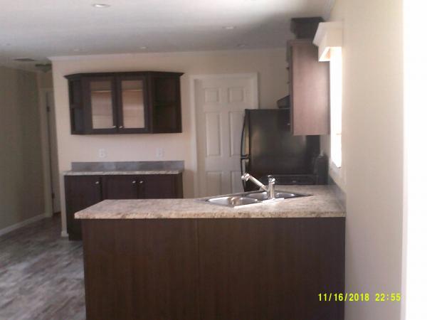 Photo 1 of 2 of home located at 12771 Charles Dr Lot 143 Wayland, MI 49348