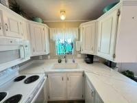 1991 Skyline Sun Haven Mobile Home