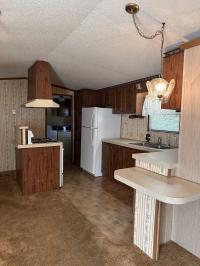 1987 Patriot Saratoga Manufactured Home