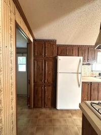 1987 Patriot Saratoga Manufactured Home