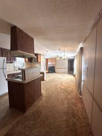 1987 Patriot Saratoga Manufactured Home