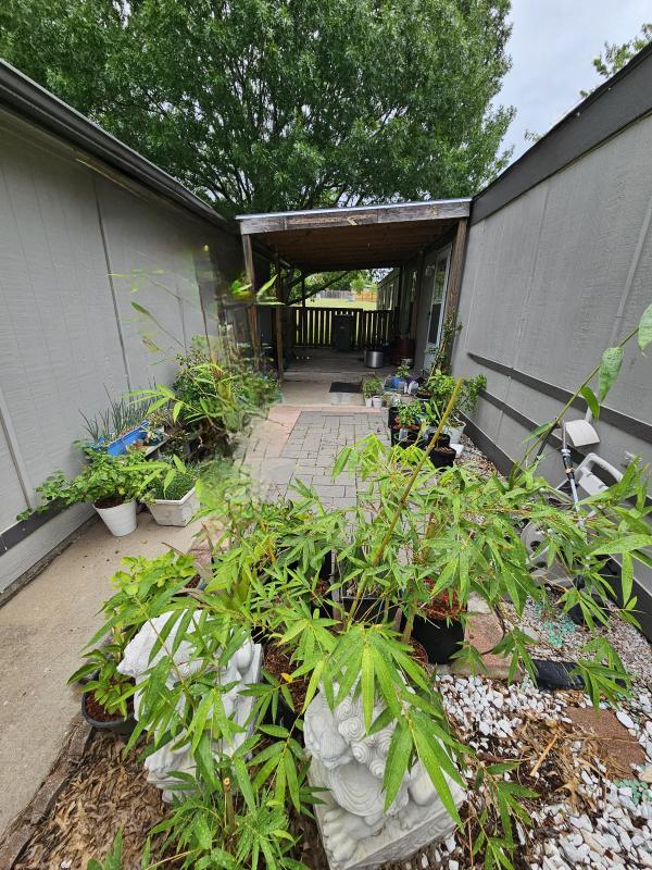 1995 Palm Harbor Palm Harbor Mobile Home