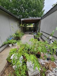 1995 Palm Harbor Palm Harbor Mobile Home