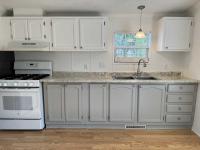 1996 Patriot Manufactured Home