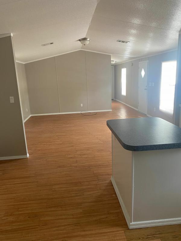 1999 Skyline Mobile Home For Sale