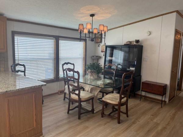 1999 Skyline Mobile Home