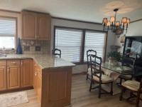 1999 Skyline Mobile Home
