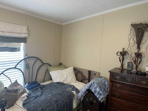 1999 Skyline Mobile Home