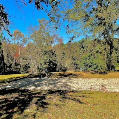 Mobile Home at 207 Falcon Dr. Troy, AL 36079