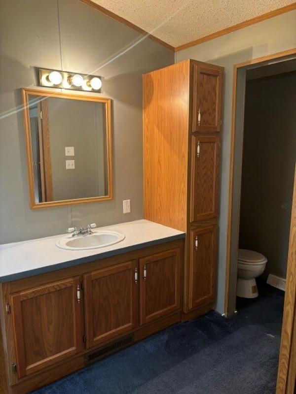 1997 Skyline Manufactured Home