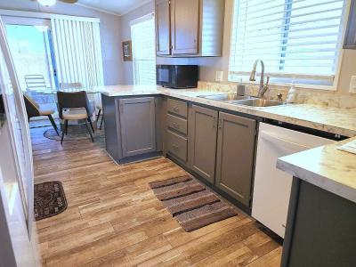 Photo 4 of 25 of home located at 3400 S Ironwood Road, Lot 1017 Apache Junction, AZ 85120
