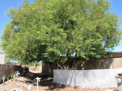 Photo 2 of 23 of home located at 3411 S. Camino Seco # 49 Tucson, AZ 85730
