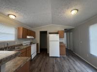 2009 ECONOMY  Home