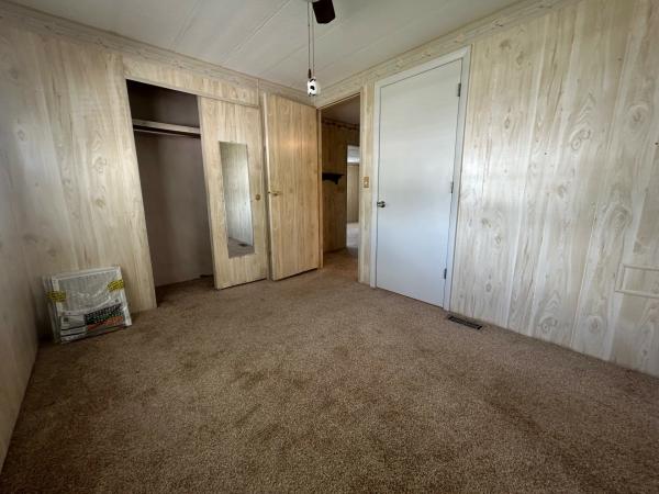 1982 SAND  Home