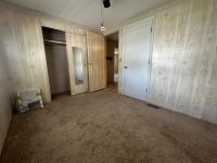 1982 SAND  Home