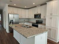 2025 Champion Skyline Silver Springs Premier LE 5041 A Manufactured Home