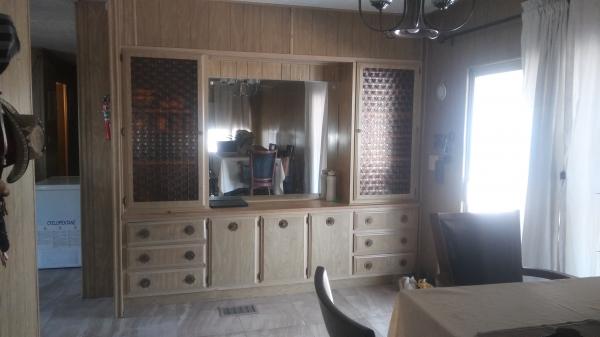 1969 Skyline ScKis10333UX Mobile Home