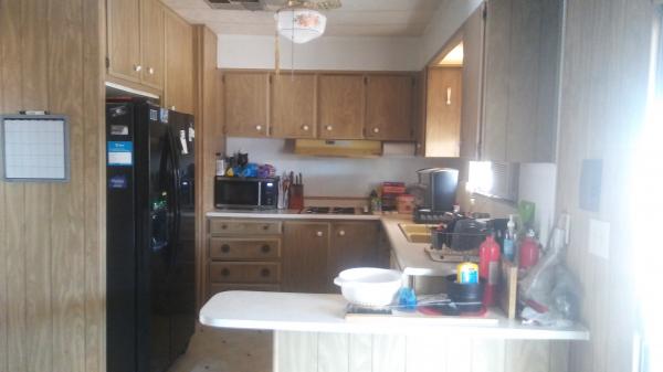 1969 Skyline ScKis10333UX Mobile Home