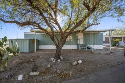 Mobile Home at 3000 N Romero Rd
# D-1 Tucson, AZ 85705