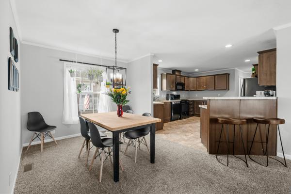 2017 Mobile Home