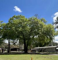 1986 COUN Mobile Home
