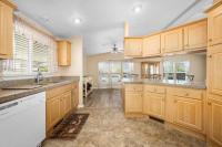 2005 SKYLINE Manufactured Home