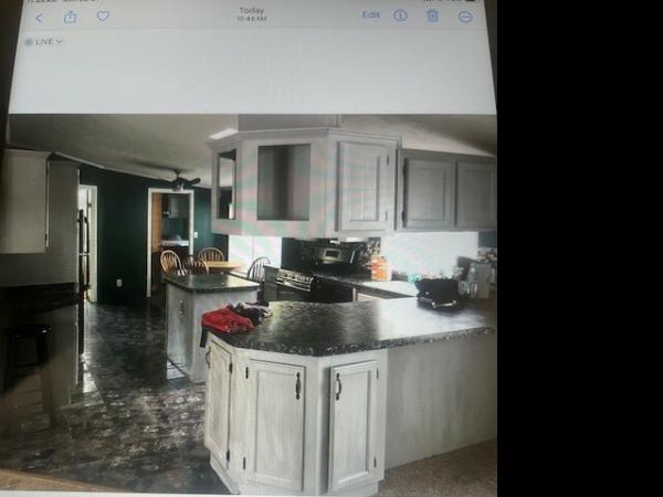 2000 Skyline Mobile Home