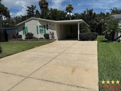 Mobile Home at 258 Osprey Ln Flagler Beach, FL 32136