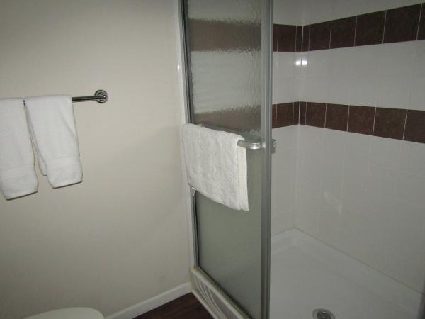 2010 PALM HARBOR MPP34463 - MONET Mobile Home