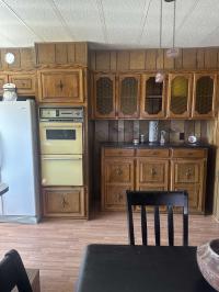 1975 Solitaire SW Manufactured Home