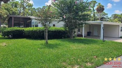 Mobile Home at 58 Red Fox Lane Flagler Beach, FL 32136