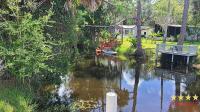 1991 PALM   Home