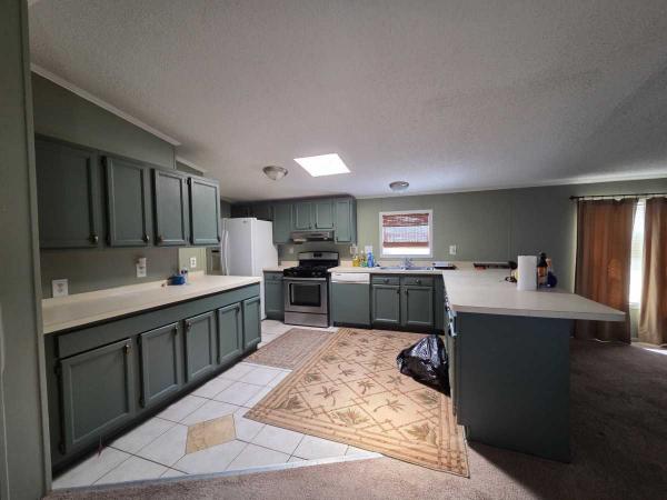 1995 Skyline Manufactured Home