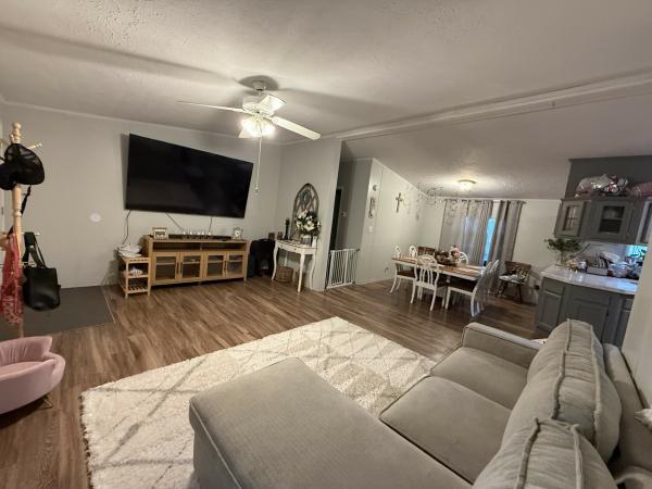 1999 skyline Mobile Home