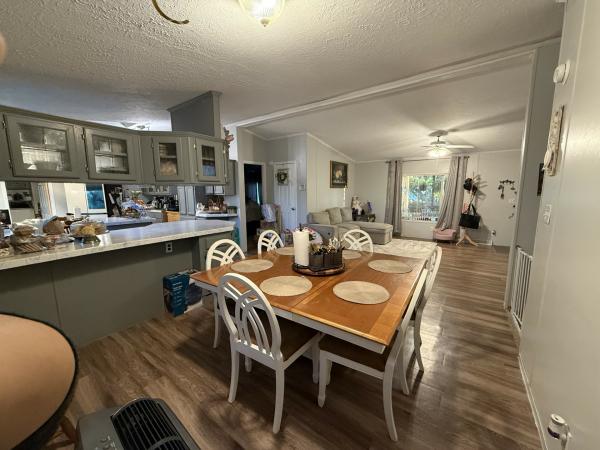 1999 skyline Mobile Home