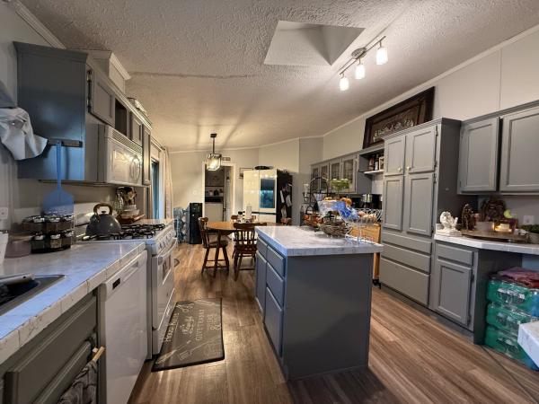 1999 skyline Mobile Home