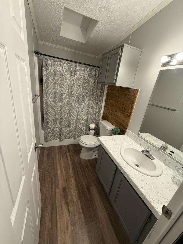 1999 skyline Mobile Home