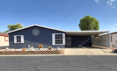 Mobile Home at 3700 S Ironwood Drive, #44 Apache Junction, AZ 85120