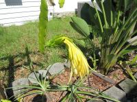 1973 Cari Manufactured Home