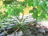 1973 Cari Manufactured Home