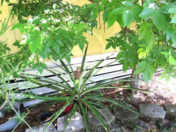 1973 Cari Manufactured Home