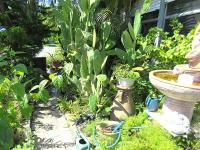 1973 Cari Manufactured Home