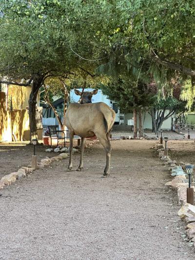 Photo 4 of 19 of home located at 3933 E Az Hwy 260 #19 Star Valley, AZ 85541