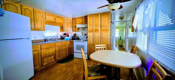 1969 Mobile Home
