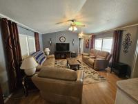 1996 Skyline Manufactured Home