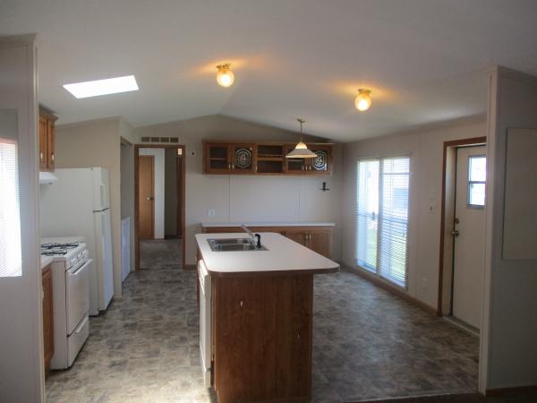 1995 Skyline Mobile Home