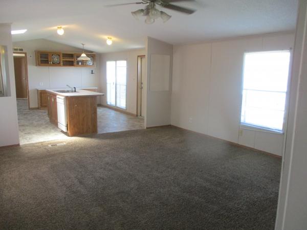 1995 Skyline Mobile Home