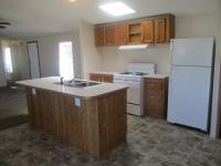 1995 Skyline Mobile Home