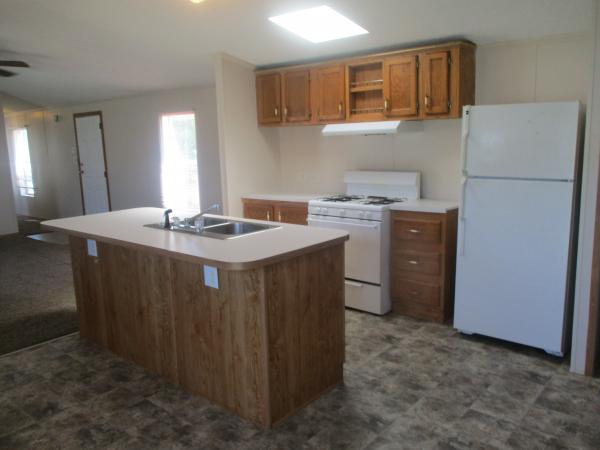 1995 Skyline Mobile Home