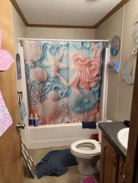 2009 Liberty Manufactured Home